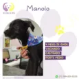 Manolo