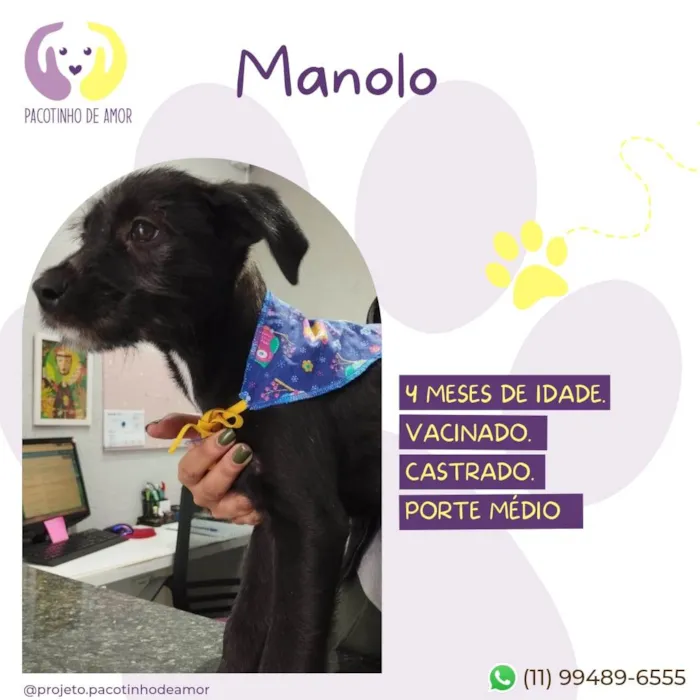 Cachorro ra a SRD-ViraLata idade 2 a 6 meses nome Manolo