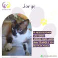 Jorge