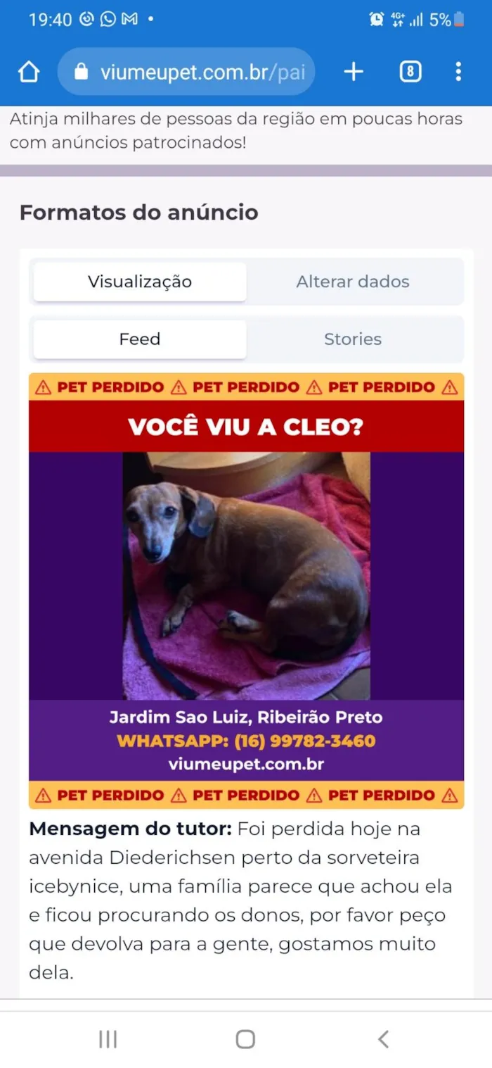 Cachorro ra a Basset idade 6 ou mais anos nome Cleo