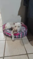 Vitória