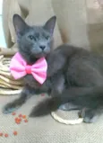 Prana