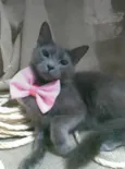 Prana