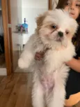Milo