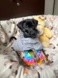 Elton
