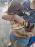 Bruninha 