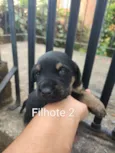 Você dá o nome!!