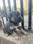 Você dá o nome!!