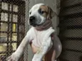 Luiza