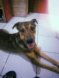 Marley