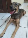 Marley