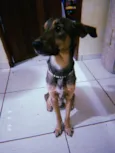 Marley