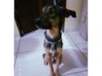 Marley