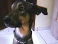 Marley