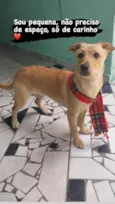 Dona Carmela