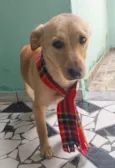 Dona Carmela