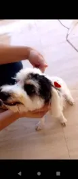 Lilah