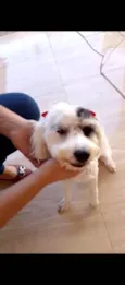 Lilah