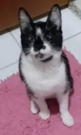 AIKA
