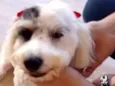 Lilah