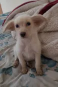 Esperança 