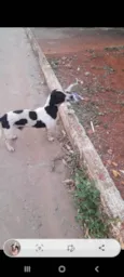 Bob