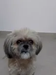 Mel