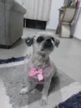 Mel