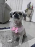 Mel