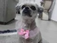 Mel