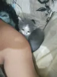João