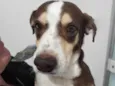 Francisco