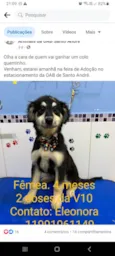 Pietra