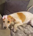 Paçoca