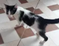Frederico