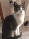 Mia