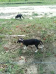Betinha e Glenda
