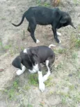 Betinha e Glenda