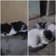 Não tenho ainda 