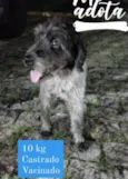 Bob