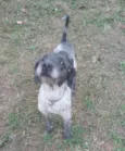 Bob