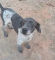 Bob