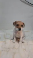 Menina