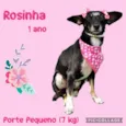 Rosinha