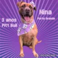 Nina
