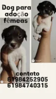 Sem nome