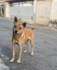 Mel