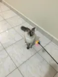 Mia