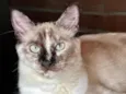 Mia