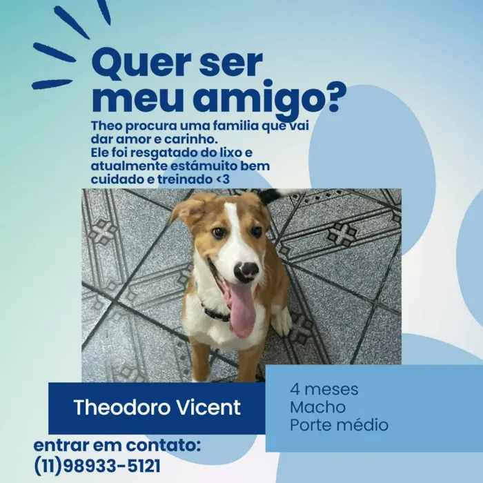 Cachorro ra a SRD-ViraLata idade 2 a 6 meses nome Theodoro